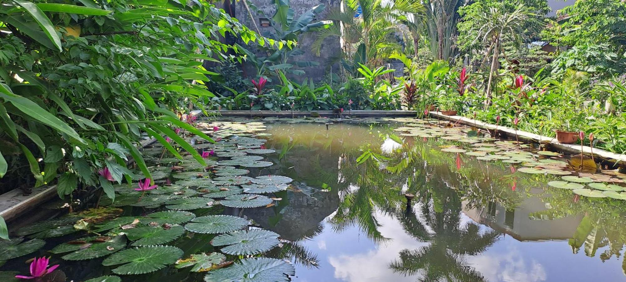 Apartament Amy House Ninh Binh Zewnętrze zdjęcie
